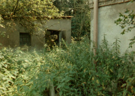 joon film