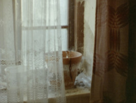 joon film