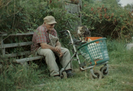 joon film