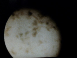 joon film