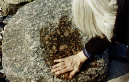 joon film