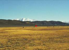 joon film